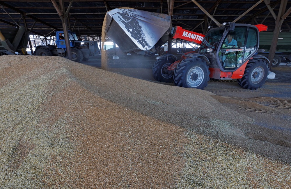 An agricultural worker operates in a grain storage during wheat harvesting in the course of Russia-Ukraine conflict near the settlement of Nikolske in the Donetsk Region, Russian-controlled Ukraine. (Reuters)