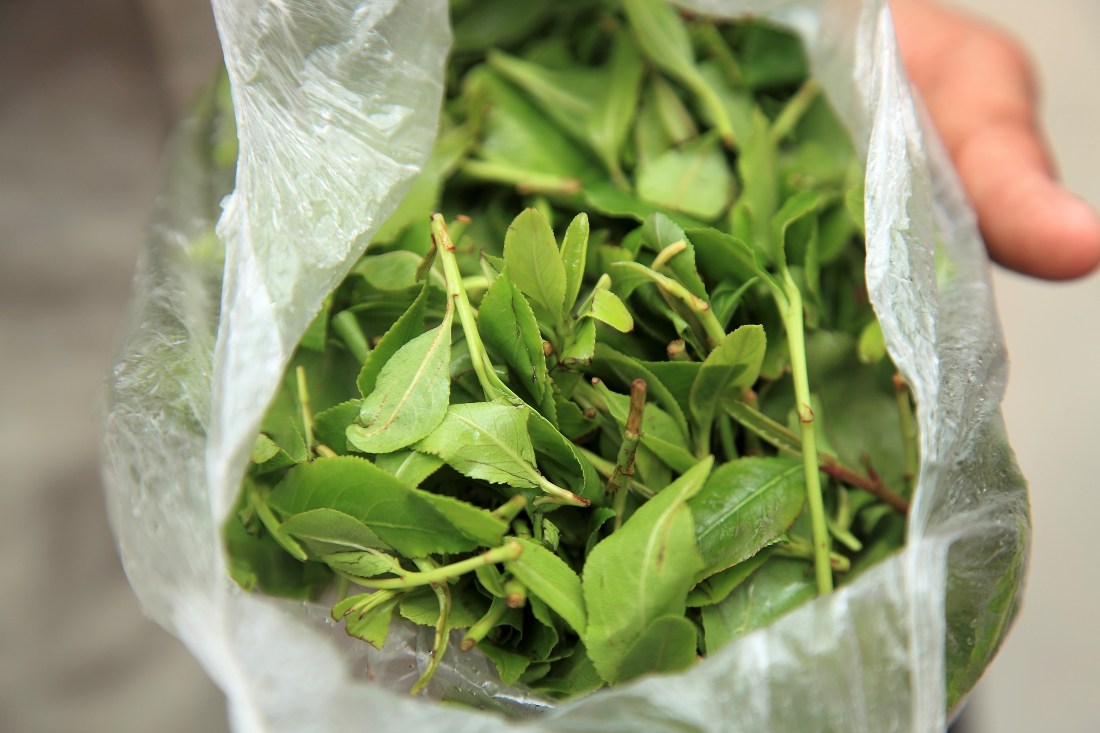 Saudi authorities arrest six for trading qat