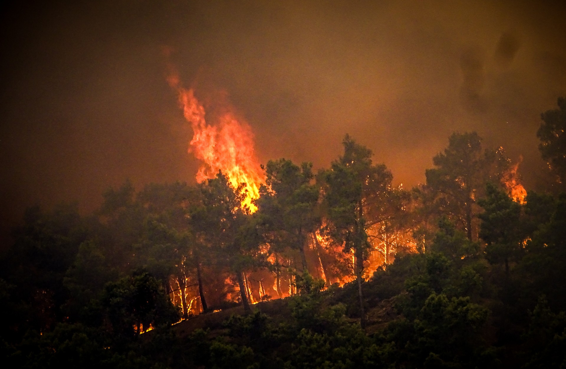 Coastguards lead more than 20 boats in an emergency evacuation to rescue people from the island where fire has been raging out of control for five days. (AFP)