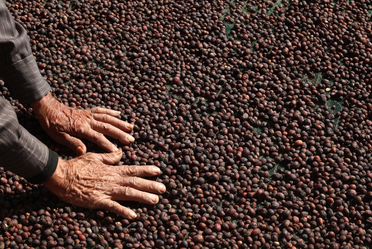 Indonesia eyes Saudi investment in agriculture