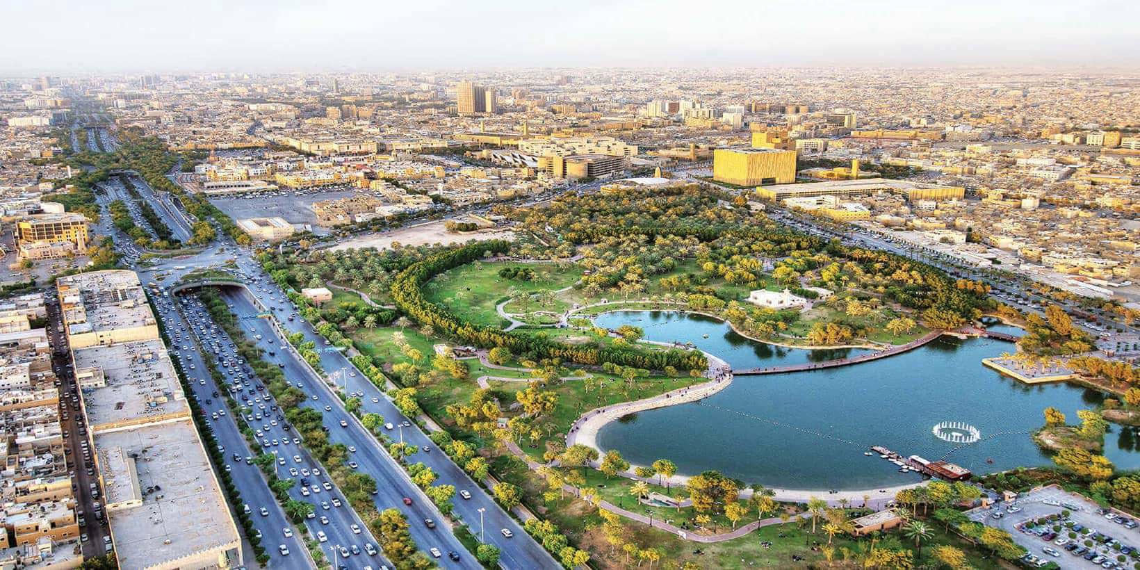 Saudi Green Initiative is restoring natural greenery with a target of planting 10 billion trees. In 2022 alone, the project planted around 18 million trees and rehabilitated 60,000 hectares of degraded land. (Photo: SGI)
