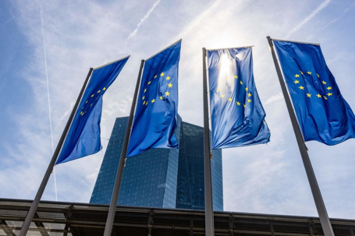 The EU taxonomy allows financial and non-financial companies to share a common definition of economic activities. (AFP/File)