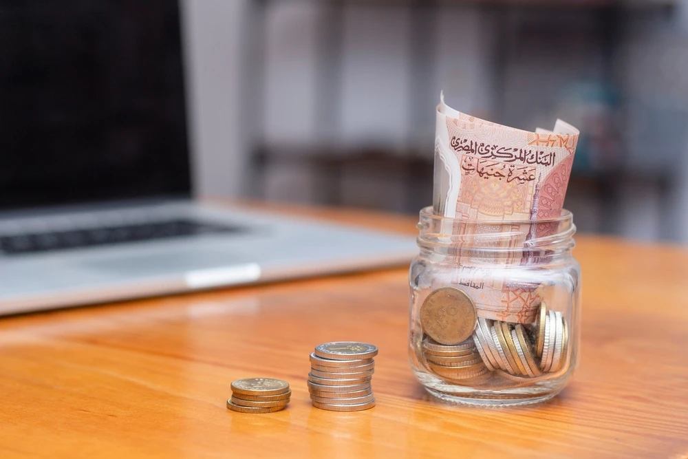 The US-headquartered institute ranked the Egyptian fund in the 12th position in the Middle East region. (Shutterstock)