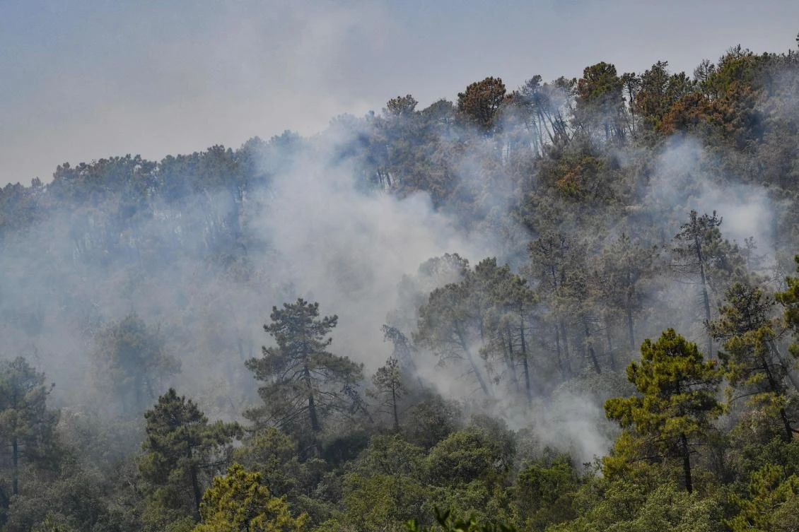 Smoke rises above trees during a fire in a forest in Melloula amid soaring summer temperatures. (AFP)