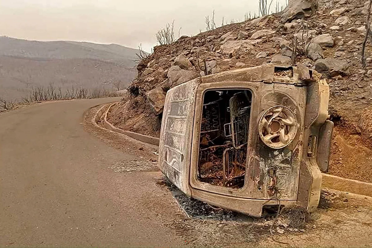 The aftermath of Algeria's wildfires in Toudja town can be seen as temperatures hit 48 degrees Celsius. (AFP)