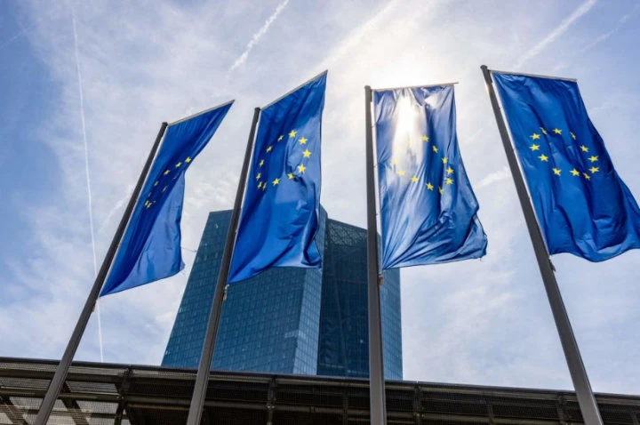 The EU taxonomy allows financial and non-financial companies to share a common definition of economic activities. (AFP/File)