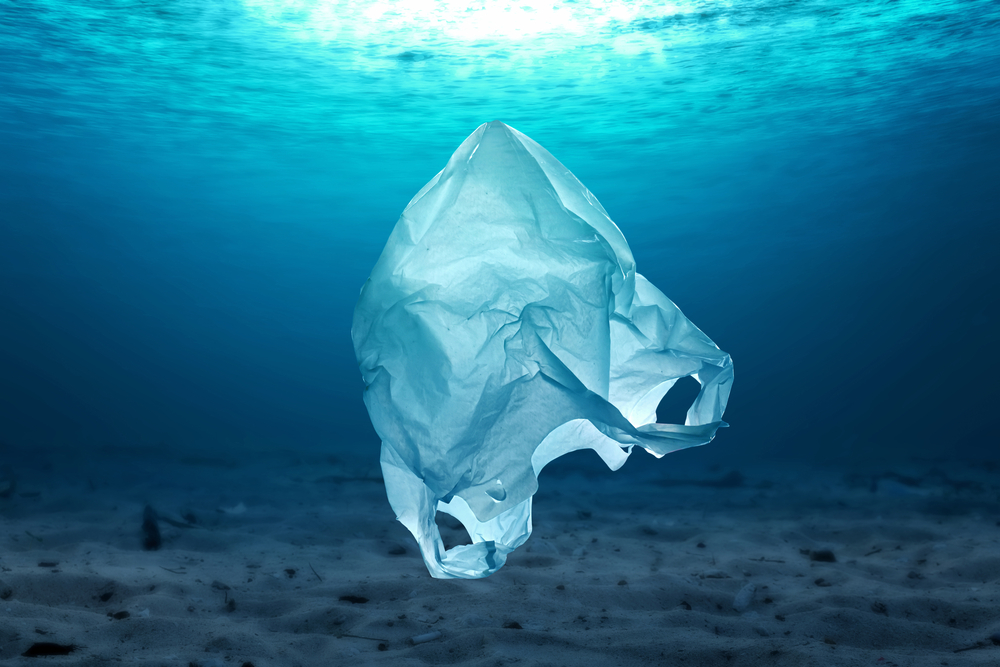 Saudi Arabia has signed up to international alliances for tackling ocean pollution (Shutterstock)