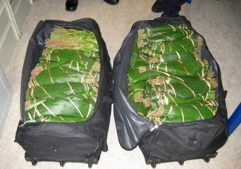 File photo of qat, a plant with a mild stimulant effect and classed as a drug in several countries (AFP)