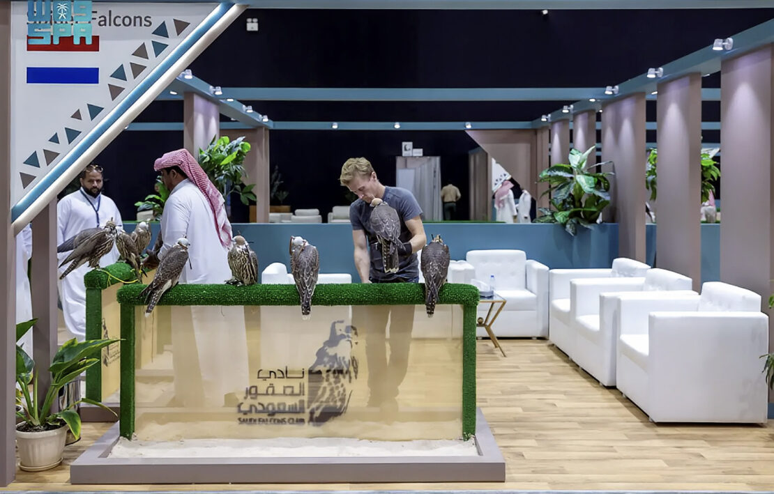The owner of Dutch farm Spider Falcon, who gave his name only as Dennis, said he was delighted to be at the event and had managed to sell five of the 10 birds he had brought in the opening few days. (SPA)