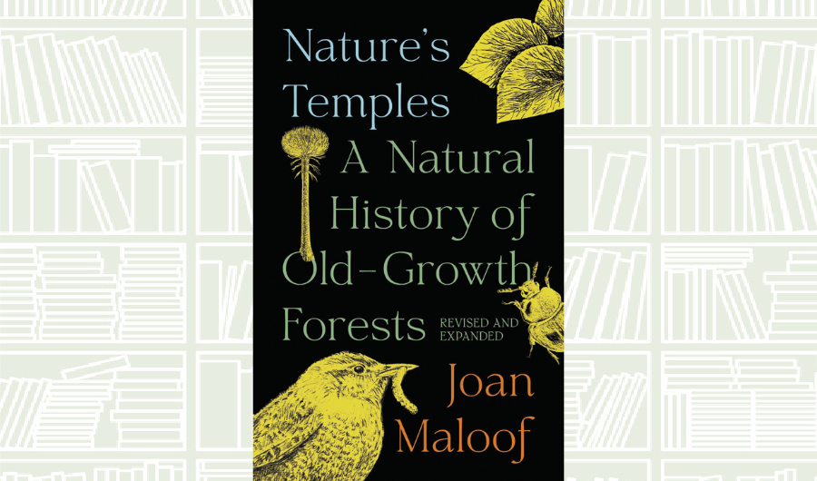 What We Are Reading Today: Nature’s Temples