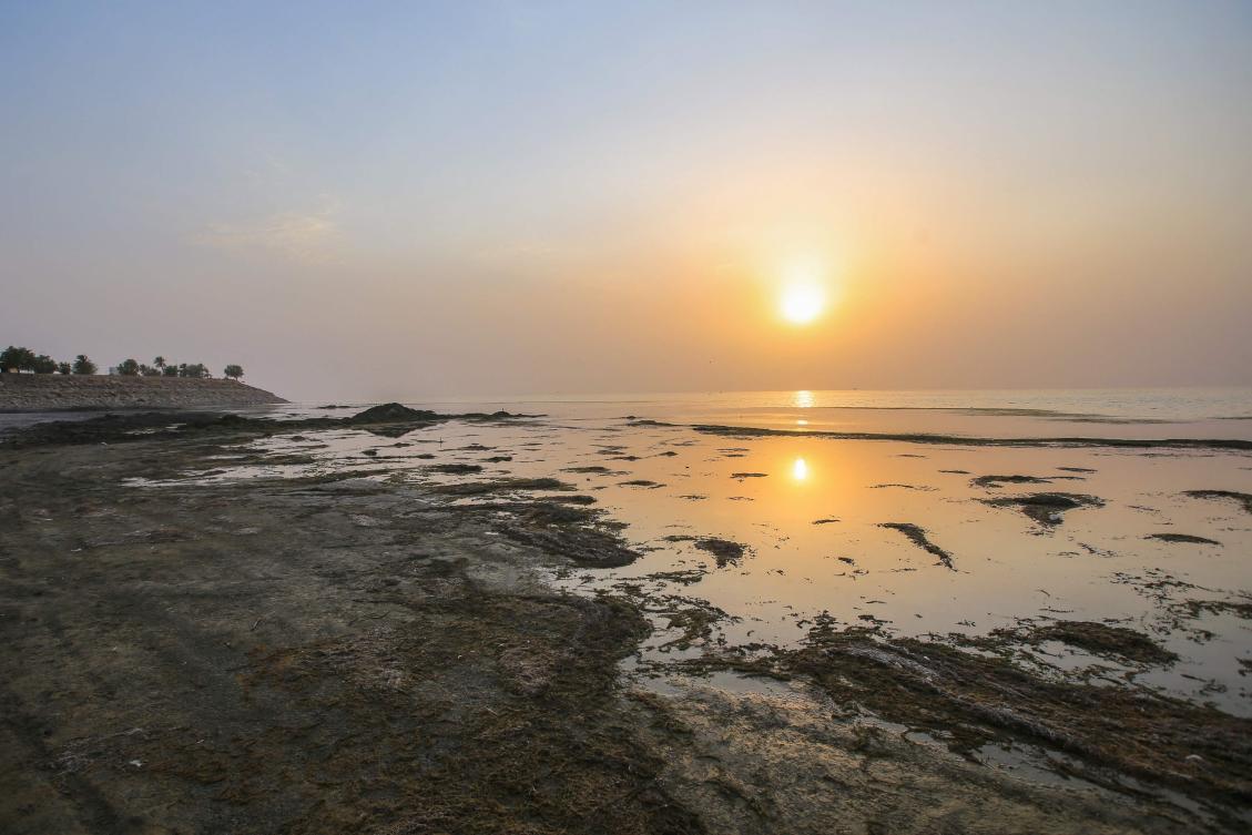 Water levels at Habbaniyah have receded by several dozen metres after four consecutive years of drought which has ravaged parts of the country, keeping away the holidaymakers who would flock there during summer. (AFP)