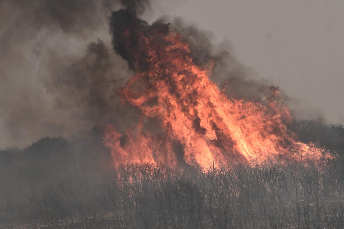 Wildfire rages in Alexandroupoli, northern Greece, on August 22, 2023. (AFP)