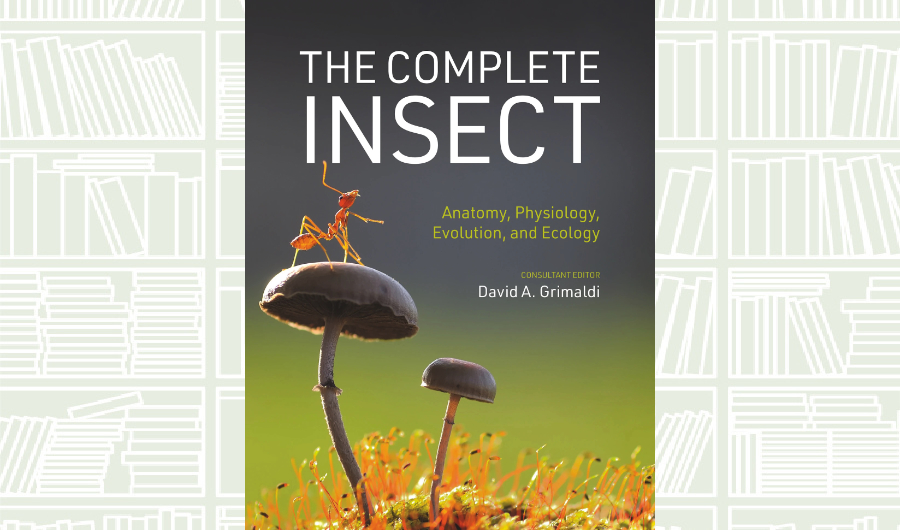 What We Are Reading Today: The Complete Insect