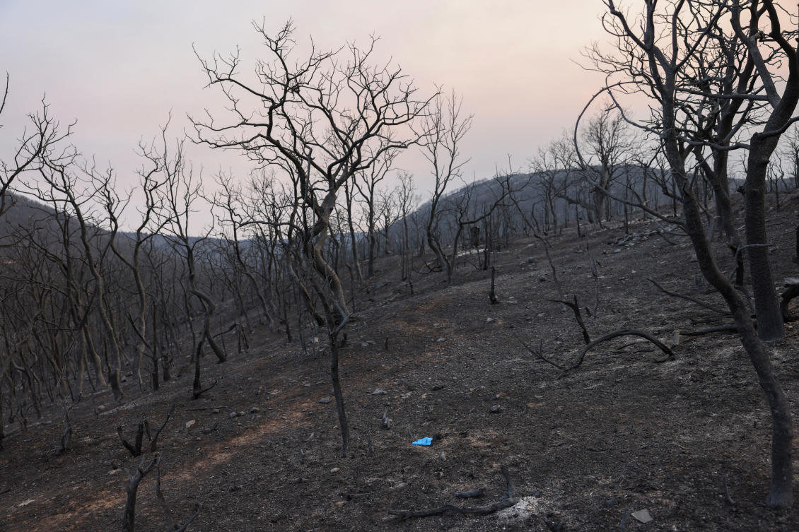 A view shows medical gloves next to charred trees near a corral where the bodies of eighteen people, who authorities believe they were migrants, were found following a wildfire, in the region of Evros, Greece, on Aug. 23, 2023. (Reuters)
