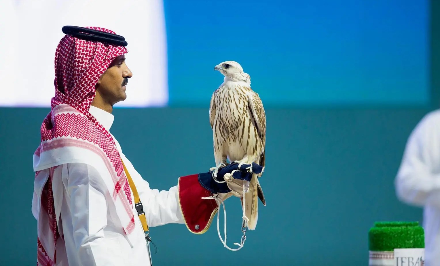 A total of 642 falcons were sold during the auction, amounting to $2.1 million. (SPA)