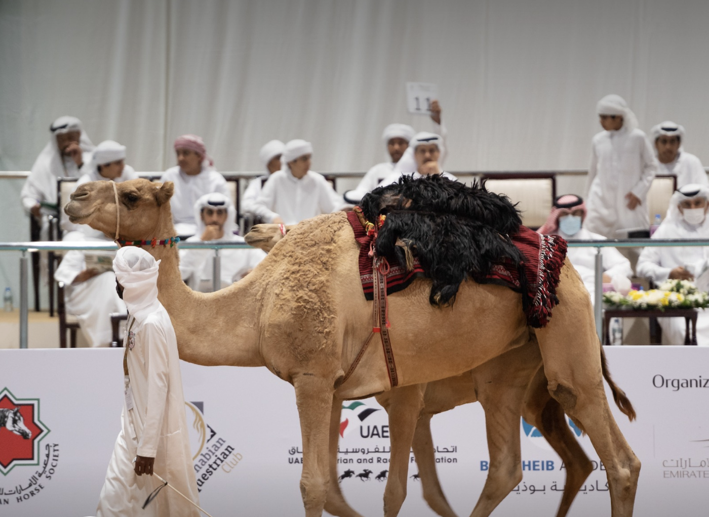 The Abu Dhabi International Hunting and Equestrian Exhibition will take place from Sept. 2 to 8. (ADIHEX)