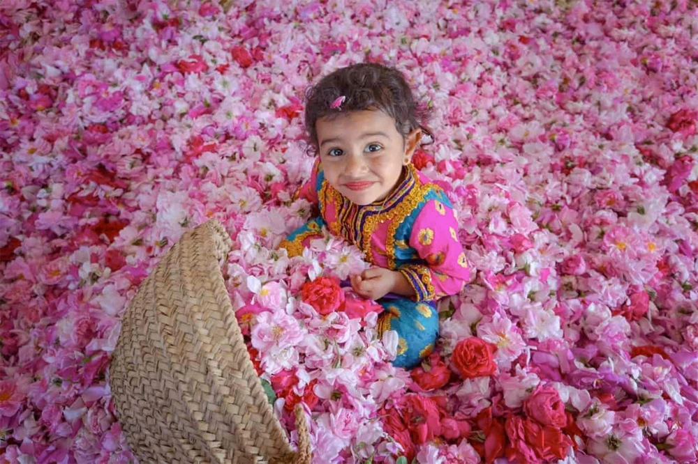 Rose farm