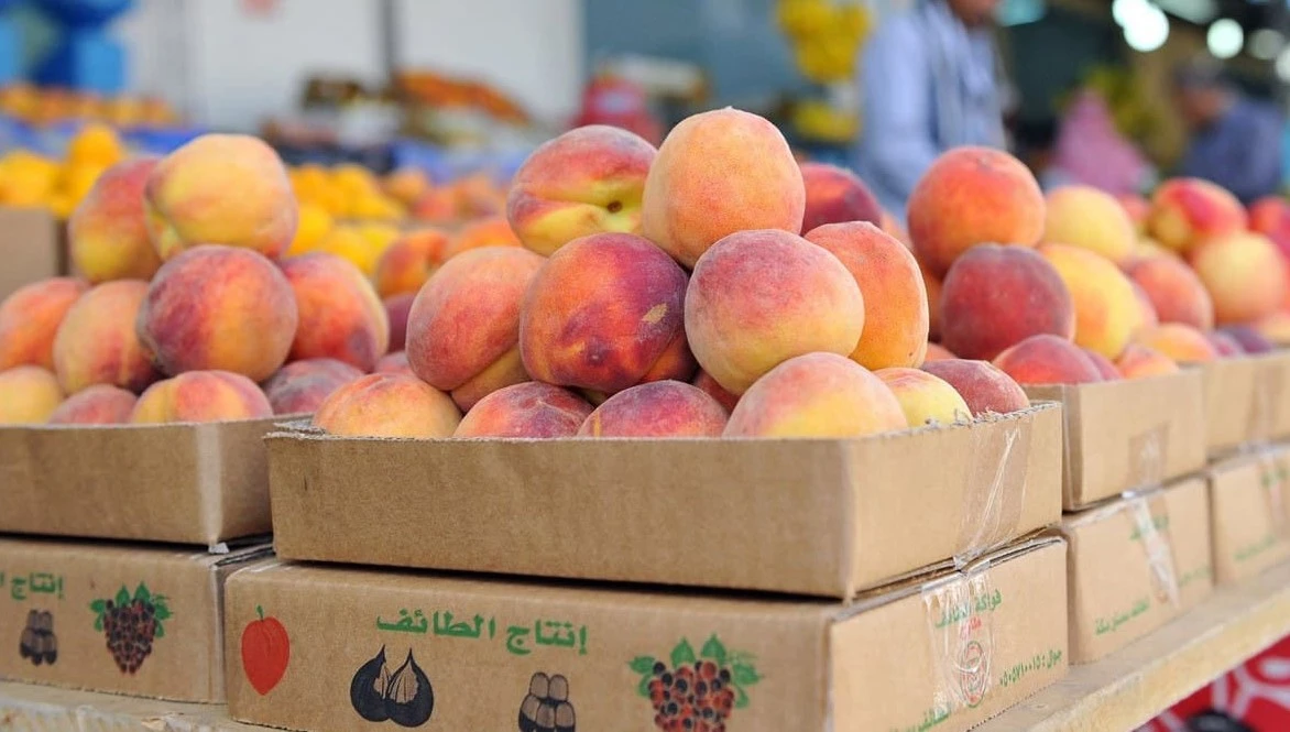 Taif Summer Fruits Festival takes place in Al-Ruddaf Park. (Supplied)
