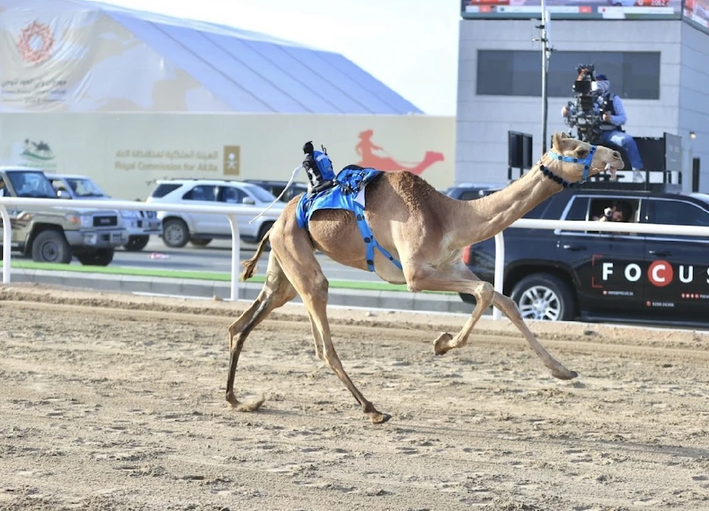 This year’s event features 589 races and a total prize pool of $14.9 million (56.25 million riyals). (@scrfSA)