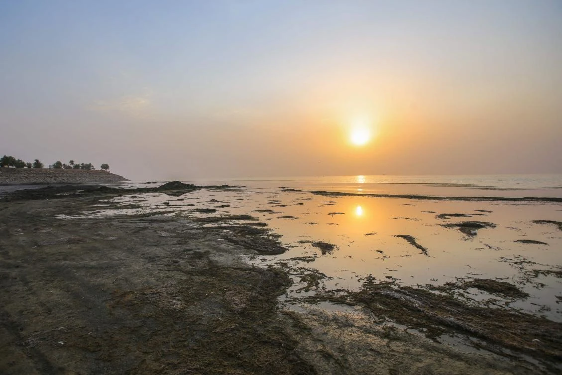 Water levels at Habbaniyah have receded by several dozen metres after four consecutive years of drought which has ravaged parts of the country, keeping away the holidaymakers who would flock there during summer. (AFP)