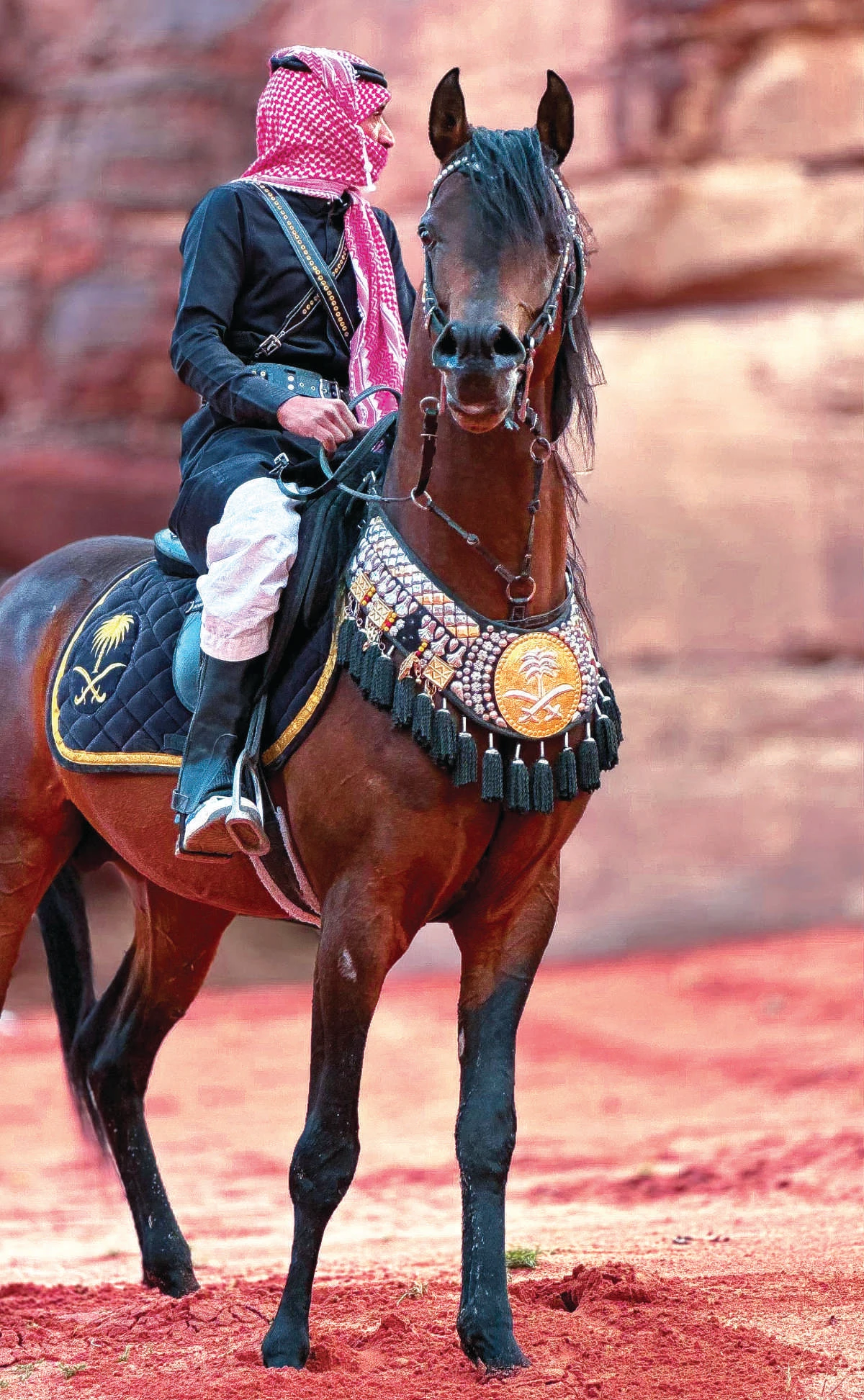 Musheer Al-Balawi photographs nature and the beautiful wildlife of the Kingdom, including horses and camels and their integral presence in Saudi culture and heritage. (Supplied)