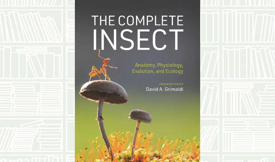 What We Are Reading Today: The Complete Insect