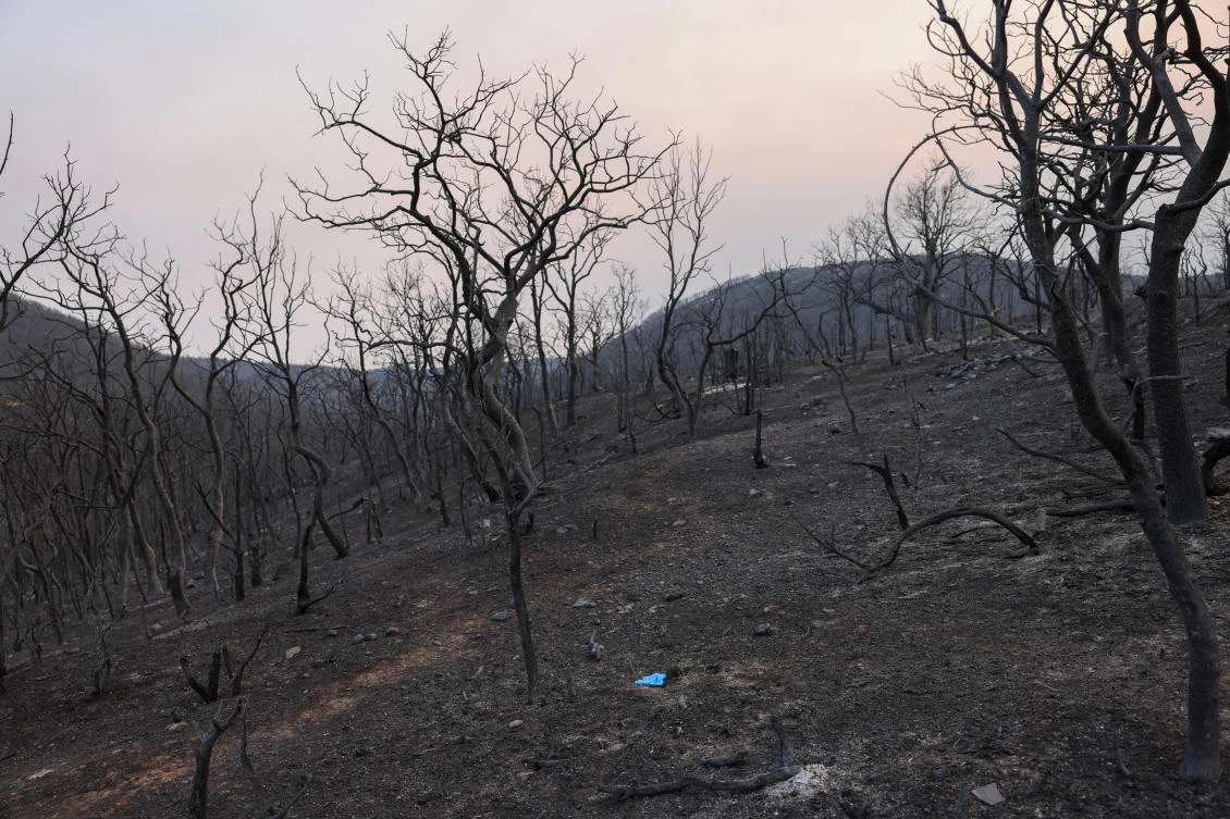A view shows medical gloves next to charred trees near a corral where the bodies of eighteen people, who authorities believe they were migrants, were found following a wildfire, in the region of Evros, Greece, on Aug. 23, 2023. (Reuters)
