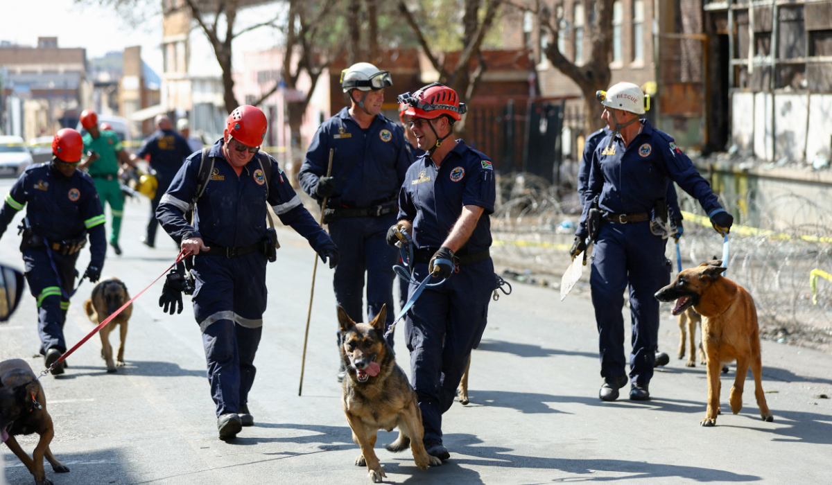 Members of the K9 unit walk the dogs as they leave the scene of a deadly blaze in Johannesburg, South Africa, September 1, 2023. (REUTERS)