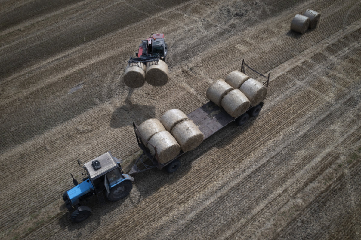 A tractor collects straw on a field in a private farm in Zhurivka, Kyiv region, Ukraine, on Aug. 10, 2023. (AP file photo)