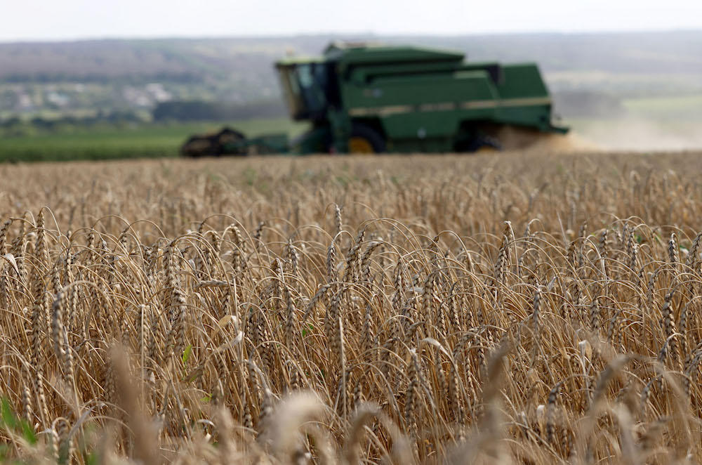 Erdogan calls for Russia to not be ‘marginalized’ in grain deal