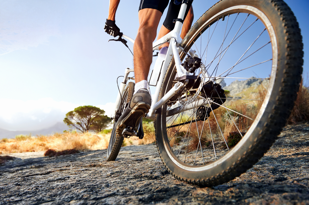 There will be a specific emphasis on artificial intelligence and adventure sports. (Shutterstock)