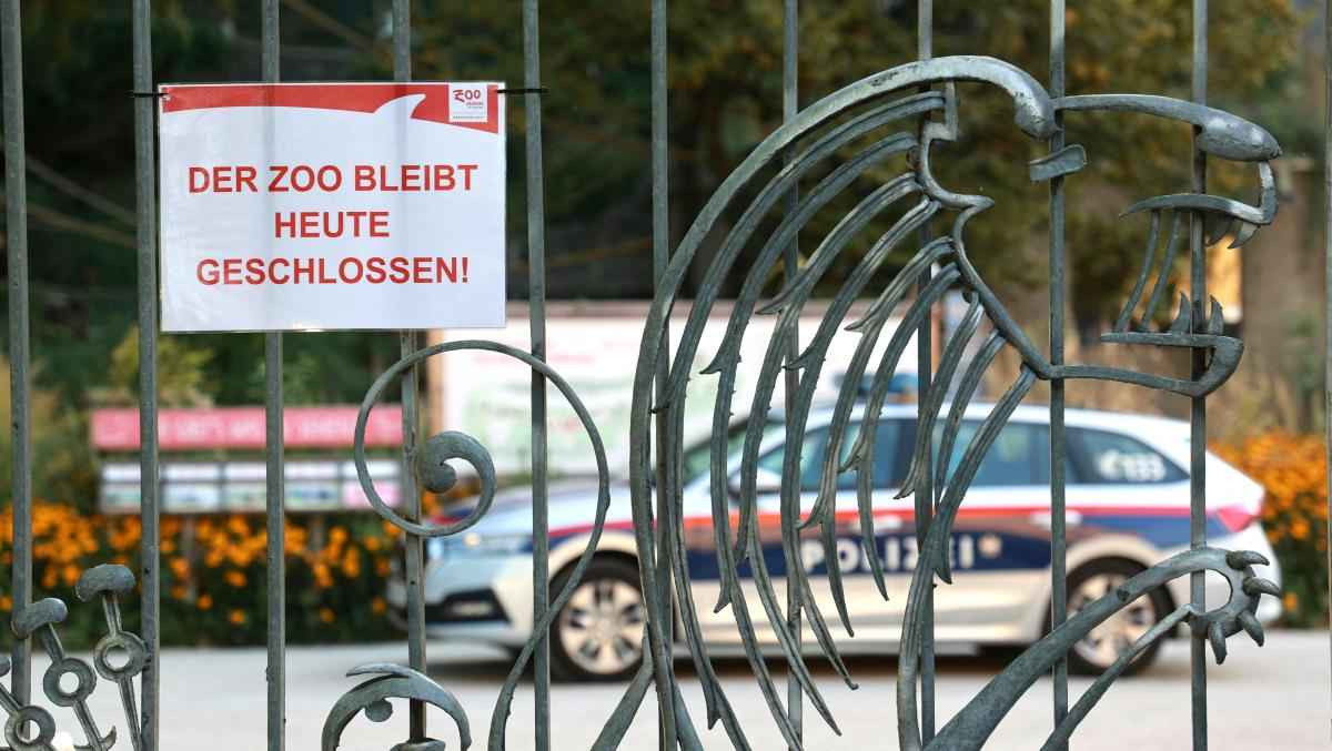 A rhino at an Austrian zoo kills a zookeeper and seriously injures her husband