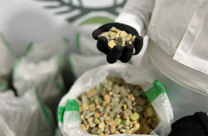 The General Directorate of Narcotics Control (GDNC) arrested a Saudi national in Qassim for selling hashish and amphetamines. (File/SPA)