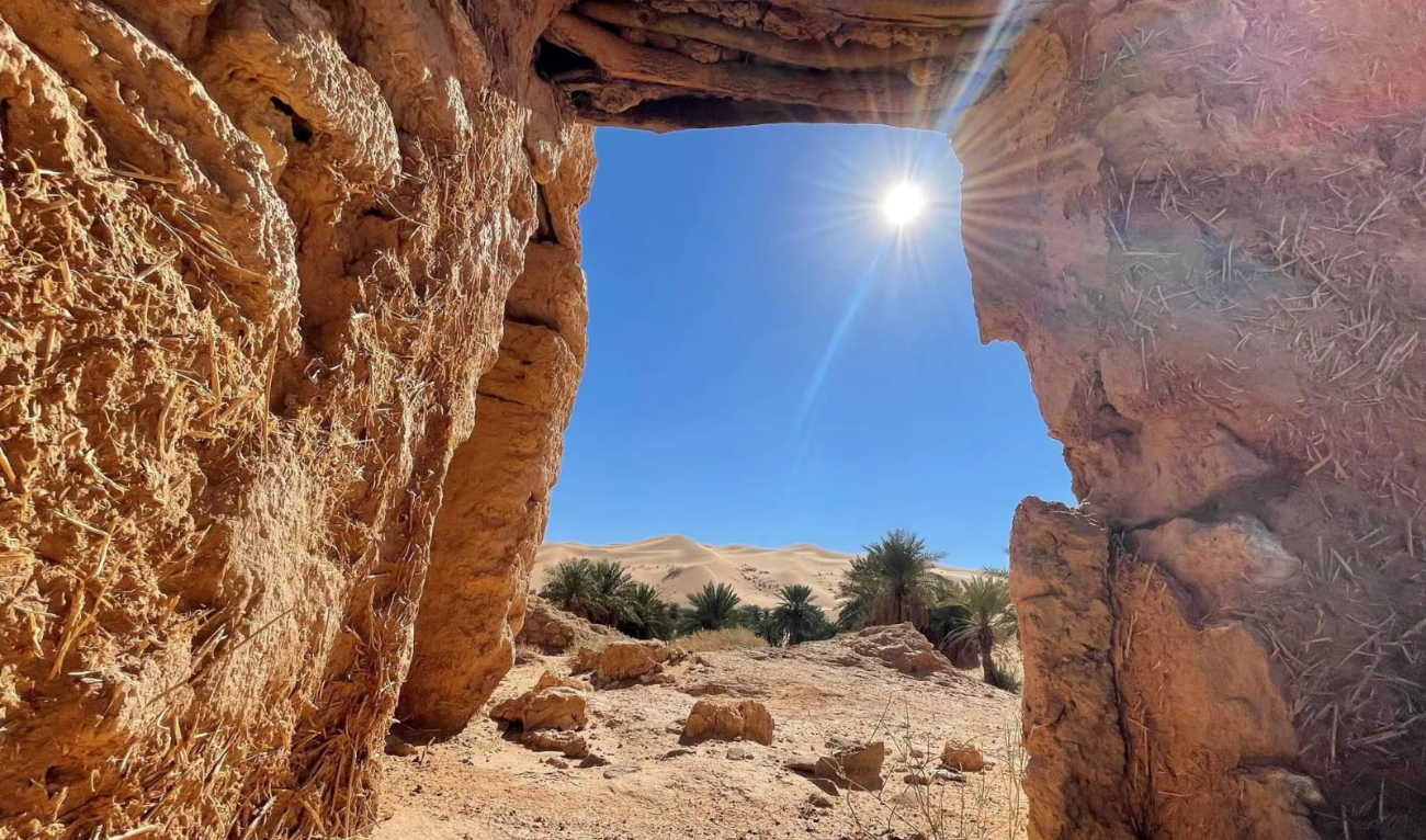 Al-Mithnab oasis in the south of Qassim. (SPA)