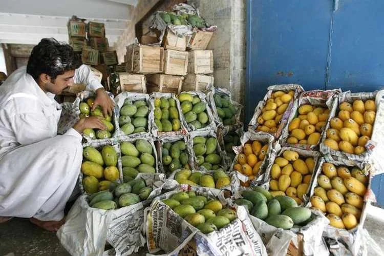A vendor arranges mangoes for sale at a stall in Multan August 15, 2007. Pakistan exports over 120,000 tons of mangoes every year to the U.S., Europe, Middle-east and Southeast Asia, officials at the Pakistan Export Promotion Bureau said. (Reuters)