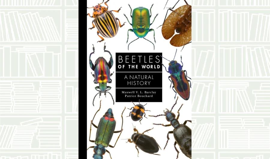 What We Are Reading Today: Beetles of the World