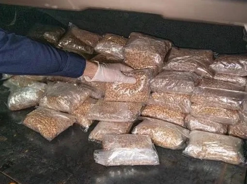 Saudi customs seize multimillion-dollar Captagon haul in Batha port