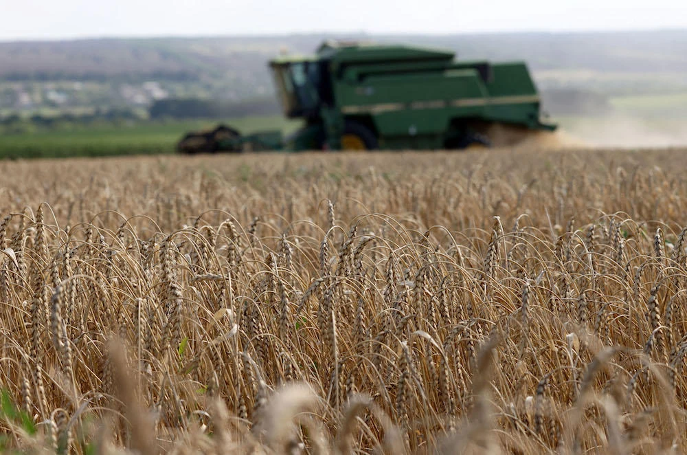 Erdogan calls for Russia to not be ‘marginalized’ in grain deal