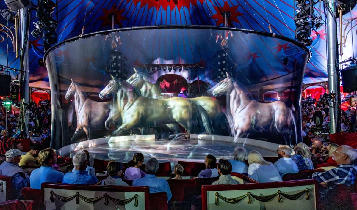 Spectators of the Roncalli Circus Show look at an hologram projection of horse group during the show in Luebeck, northern Germany on August 16, 2023. (AFP)