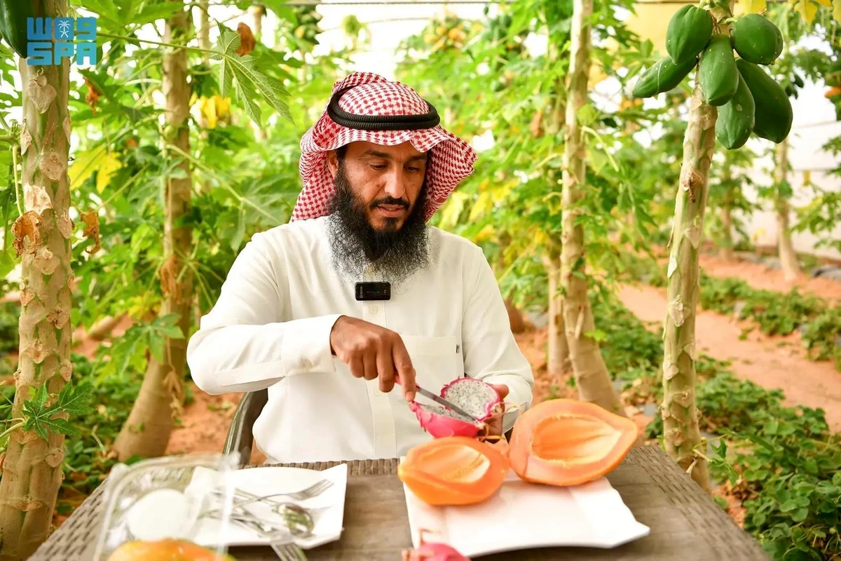 Misnat Al-Sharari began farming at a young age and often experimented with crops hard to grow in the region. (SPA)