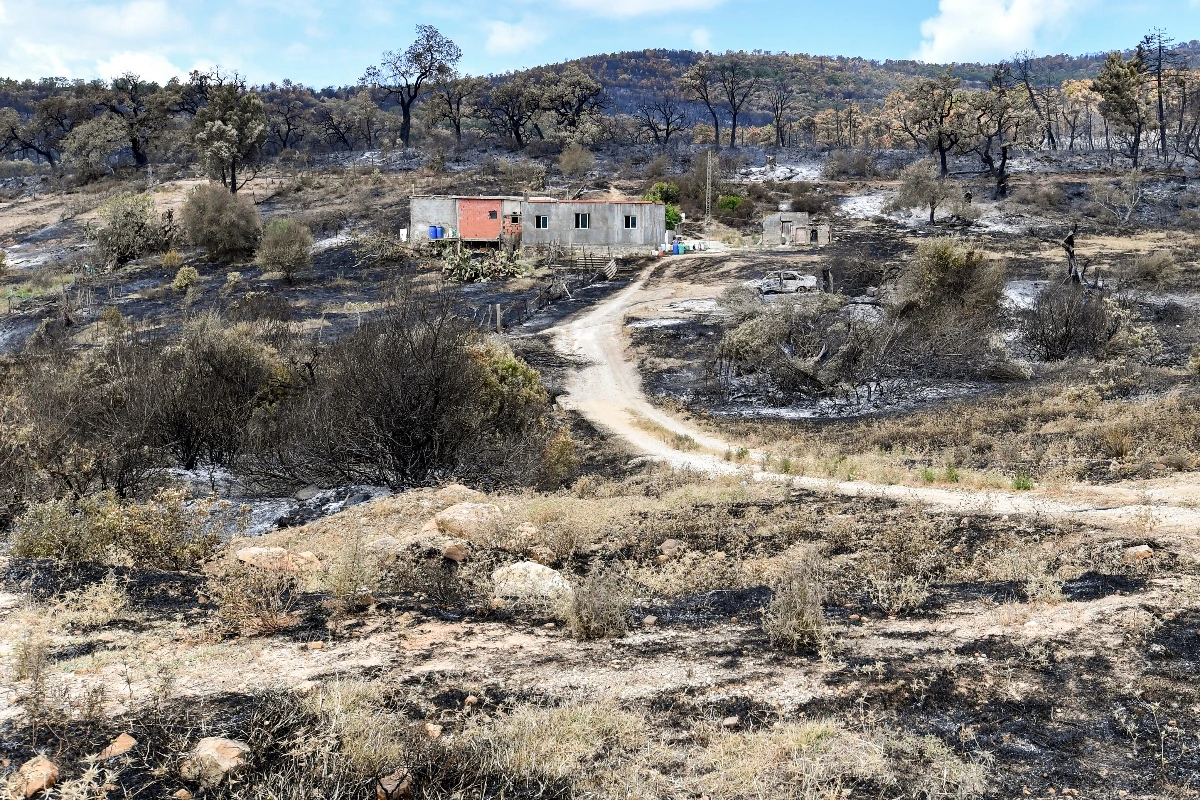 At least 300 people were evacuated by sea and by land from Melloula, according to the Tunisian national guard, as fires raged again there on July 24. A severe heatwave has been reflected across much of southern Europe and northern Africa. (AFP)