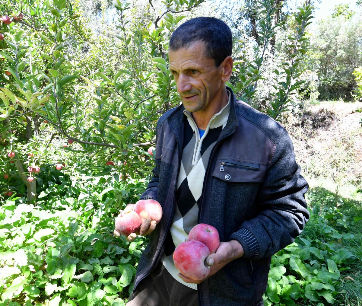 ‘Worst enemy’: Morocco quake brings new hardships for farmers