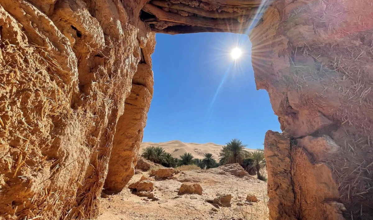 Al-Mithnab oasis in the south of Qassim. (SPA)