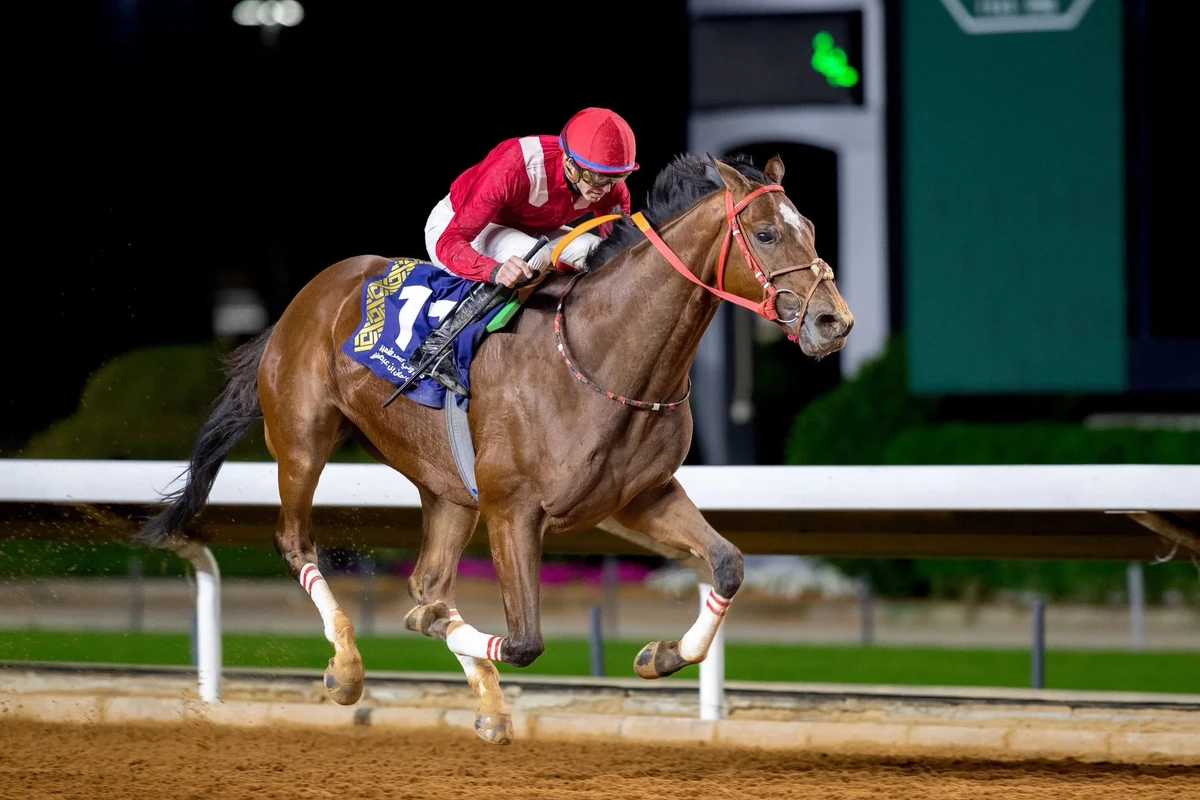 James Doyle won last season’s domestic G1 Crown Prince Cup aboard Frankel. (Jockey Club of Saudi Arabia)