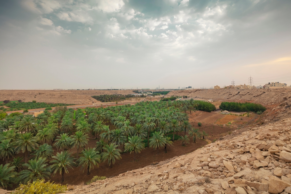 Food security across the Muslim world is a matter of concern. Shutterstock.