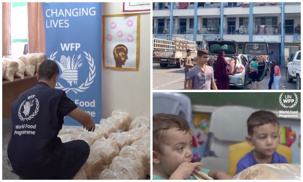 The UN World Food Programme (WFP) has launched an emergency operation to provide food assistance to more than 800,000 people in Gaza and the West Bank. (WFP)