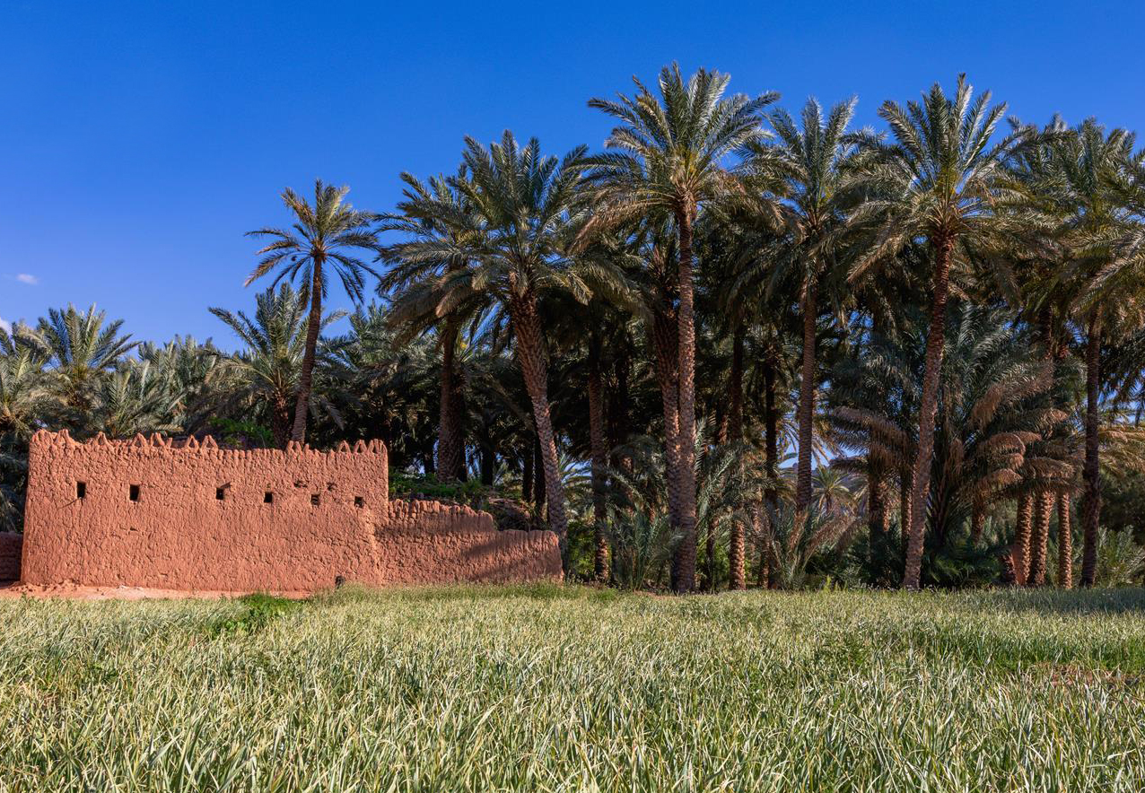 AlUla Wellness Festival promises unique blend of nature, culture