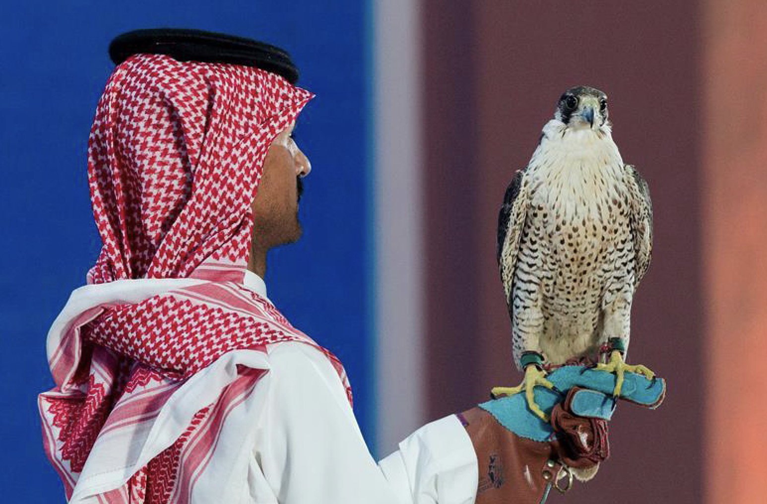 Sales at the fourth Saudi Falcons Club auction reached almost SR1 million ($266,000) after two birds were sold for SR146,000. (SPA)