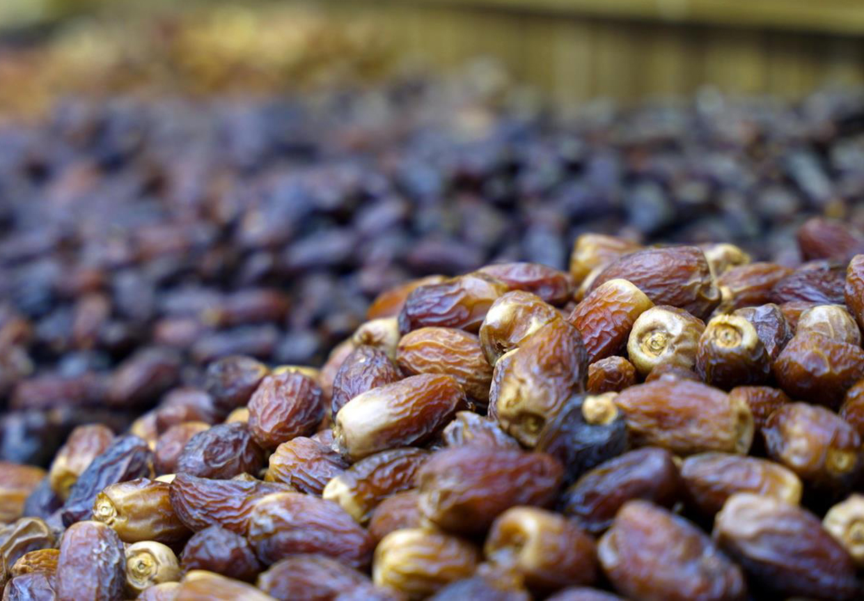 The season features experts and prominent farmers showcasing date varieties and highlighting the economic significance of the industry (SPA)