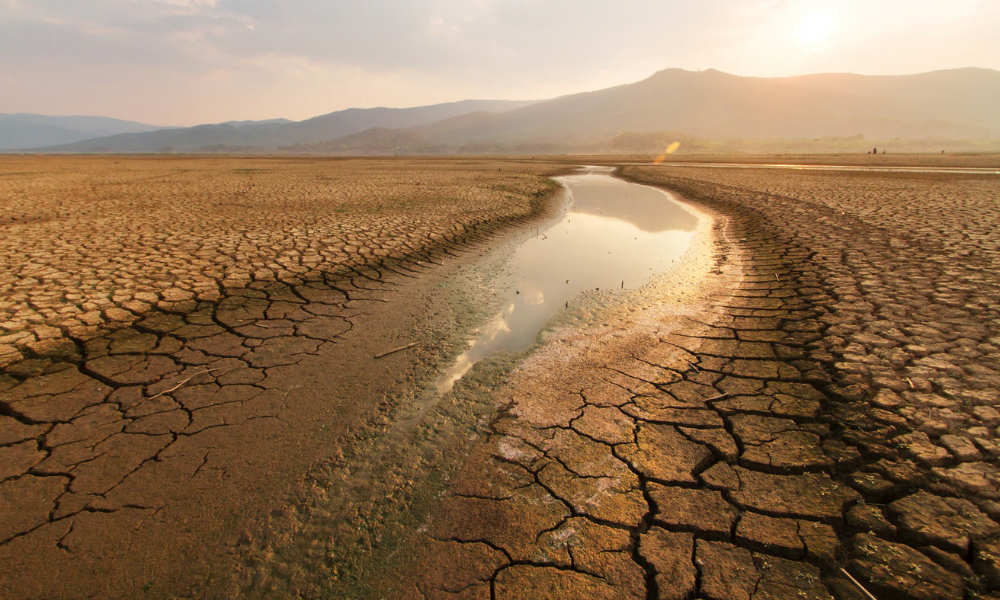 New World Economic Forum report urges action to close climate gap by increasing decarbonization and energy transition in Middle East and North Africa. (World Economic Forum)